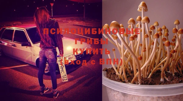 гашиш Арсеньев