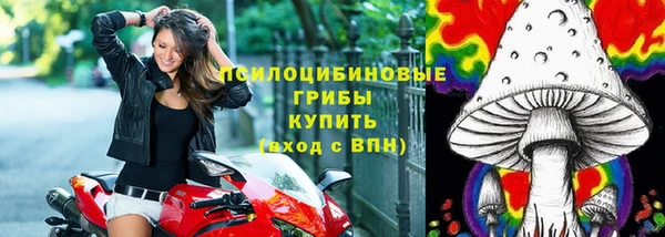 гашиш Арсеньев