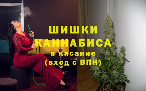 дмт Аркадак